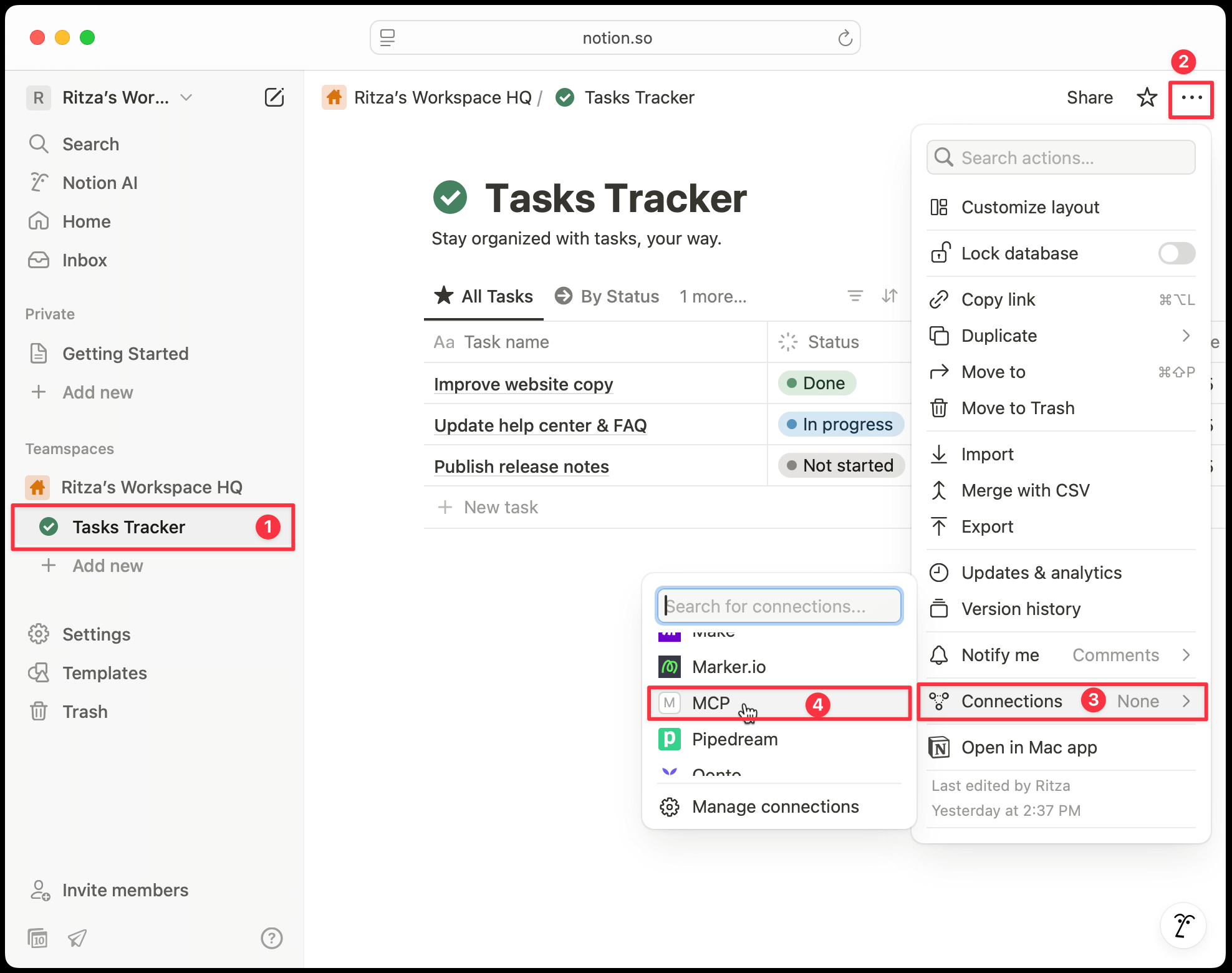 Notion connection settings