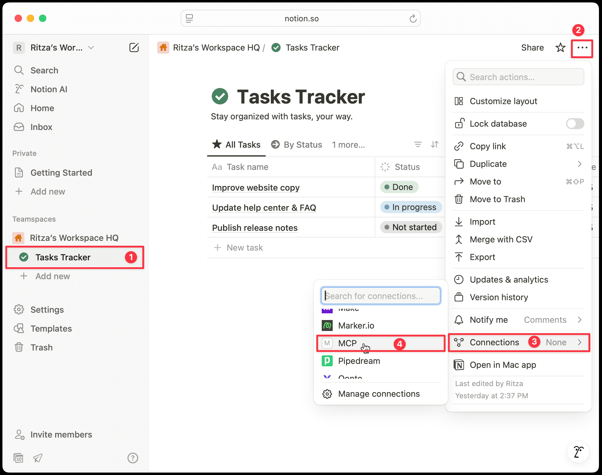 Notion connection settings
