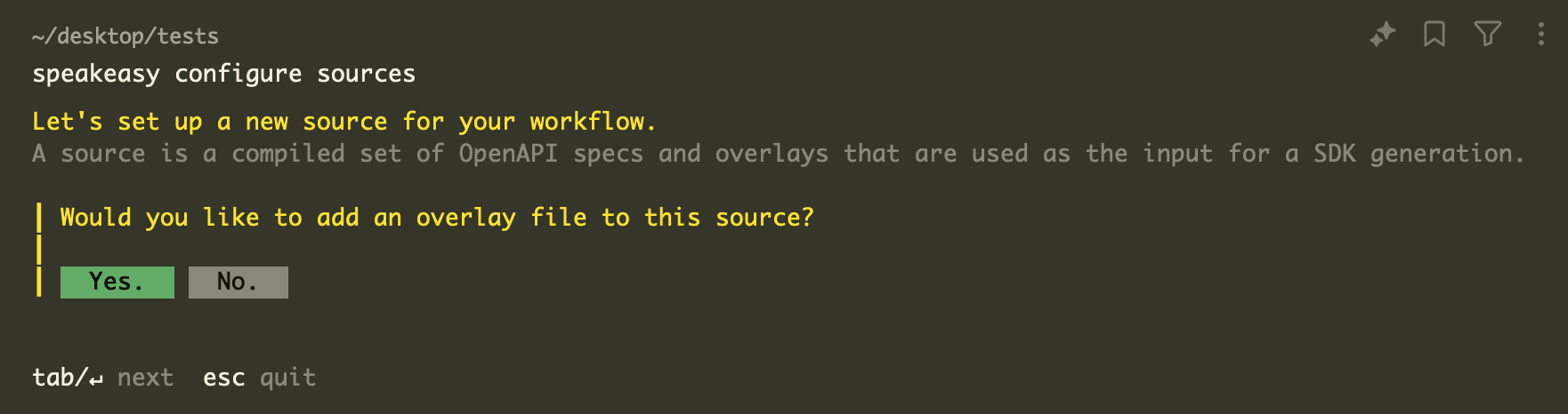 Screenshot of the terminal prompting the user to add an overlay.