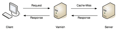 A sequence diagram showing a Client, Cache Proxy, and Server. A web request travels from client to proxy, then is sent on to the server, showing a "cache miss". The response then travels back from the server to the cache proxy, and then is sent to the client
