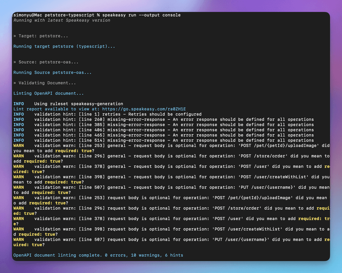 Console output showing detailed speakeasy run execution