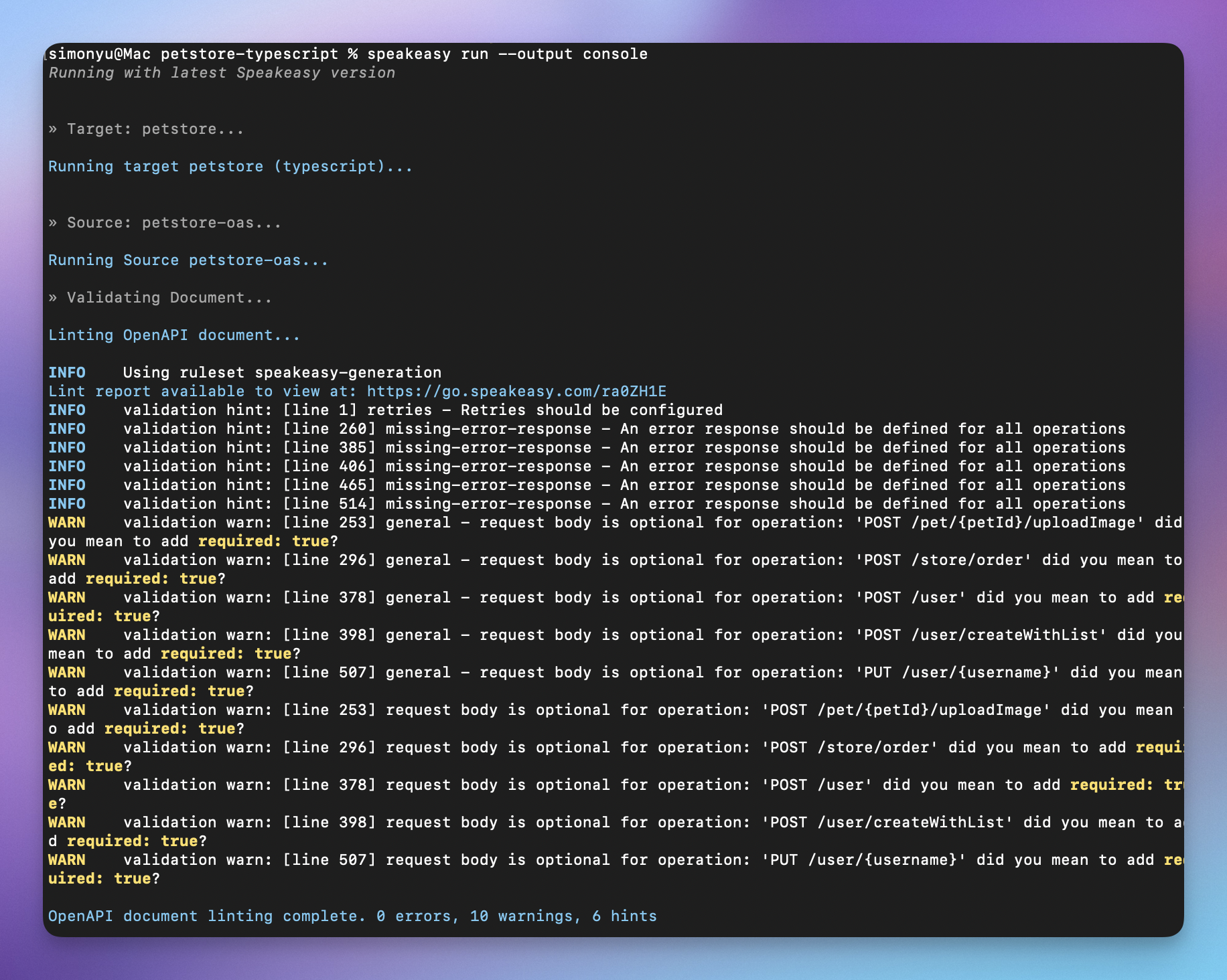 Console output showing detailed speakeasy run execution