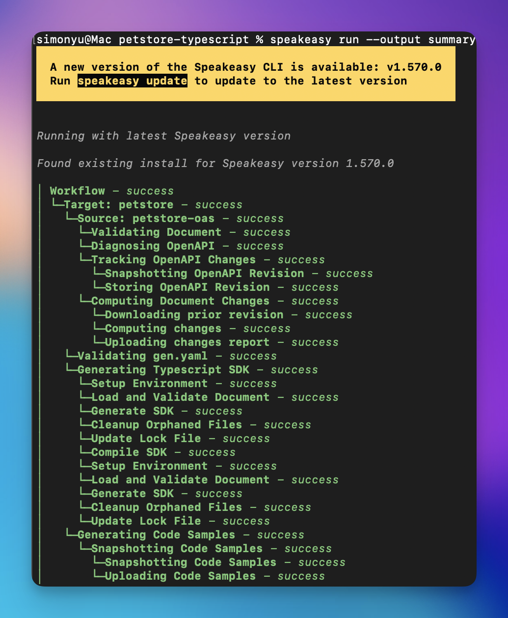 Summary output showing concise speakeasy run results