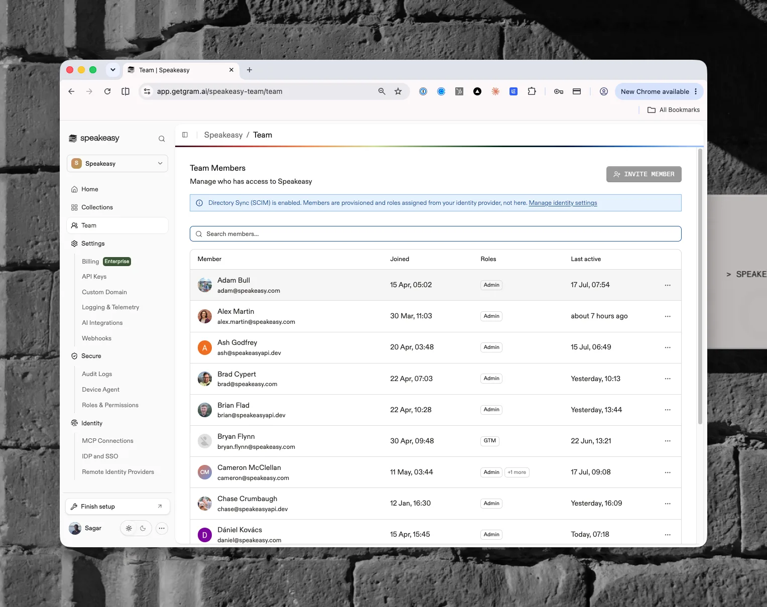 The Team Members list with joined dates, role badges, last activity, and the Invite Member button
